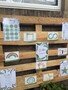 thumbnail_IMG_2284.jpg