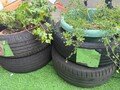 thumbnail_IMG_2286.jpg