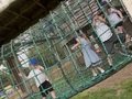 IMG_9301.jpg