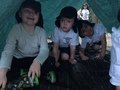 IMG_8017.JPG