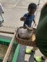IMG_1804.JPG