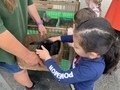 IMG_2533.JPG