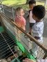 IMG_2575.JPG