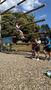 image2 (6).jpeg