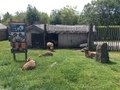 IMG_8060.JPG