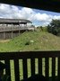 IMG_8083.JPG