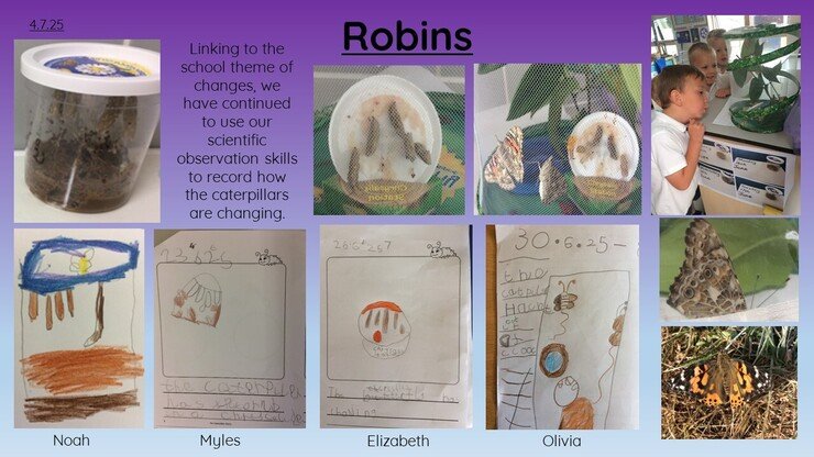 Robins 4.7.25 1.jpg