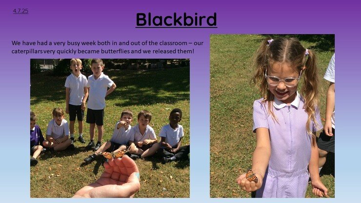 Blackbirds 4.7.25 1.jpg