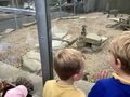 IMG_8419.JPEG