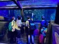 IMG_2617.JPEG