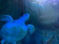 IMG_2622 (1).JPEG
