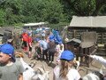 IMG_3387.JPG