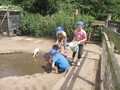 IMG_3389.JPG