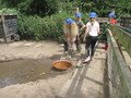 IMG_3396.JPG