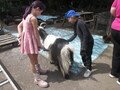 IMG_3401.JPG