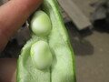 IMG_3414.JPG