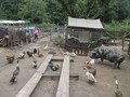 IMG_3434.JPG