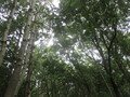 IMG_3444.JPG