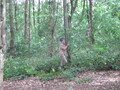 IMG_3474.JPG