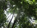 IMG_3482.JPG