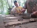 IMG_3507.JPG