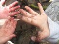 IMG_3512.JPG