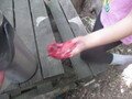 IMG_3514.JPG