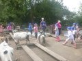 P1210128.JPG