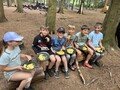 IMG_7574.jpeg