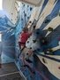 Alex climbing.jpg