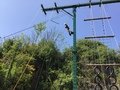 IMG_7317.JPG
