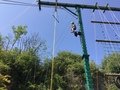 IMG_7323.JPG