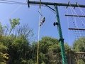 IMG_7324.JPG
