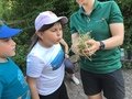 IMG_7349.JPG