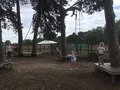 IMG_4279.jpg