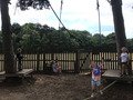 IMG_4282.jpg