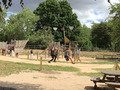 IMG_4801.jpg