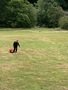 IMG_4347.jpeg
