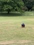 IMG_4334.jpeg
