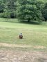 IMG_4329.jpeg