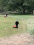 IMG_4330.jpeg