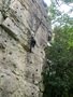IMG_4305.jpeg
