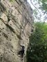 IMG_4293.jpeg