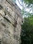 IMG_4310.jpeg