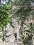 IMG_4327.jpeg