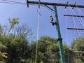 IMG_E7323.JPG