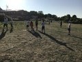 IMG_E7337.JPG