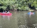 IMG_7726.jpeg