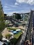 IMG_8074.jpeg