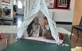 20250703_103041.jpg